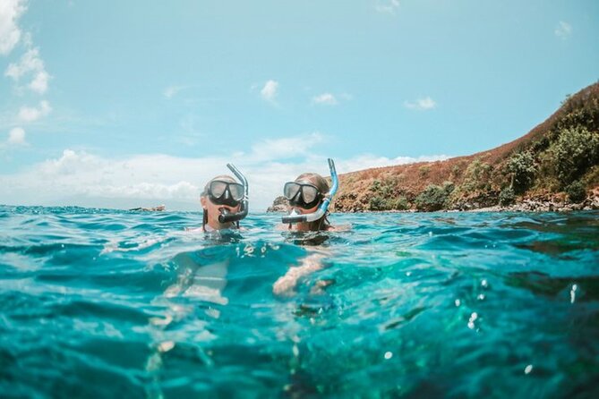 Nha Trang Bay: Explore Half-day Snorkeling at Coral Reef - Weather, visibility, and the reality check nobody should skip
