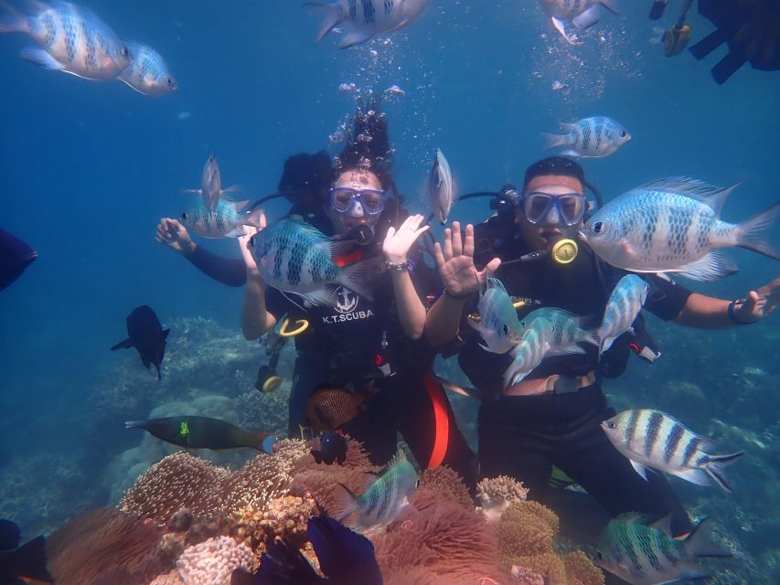 Nha Trang: Scuba Diving Experience for Non-Certified Divers - Key things that make this scuba day work