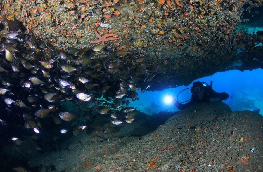 Nha Trang: Scuba Diving Experience for Non-Certified Divers - When things feel messy: pickup timing and how to avoid stress