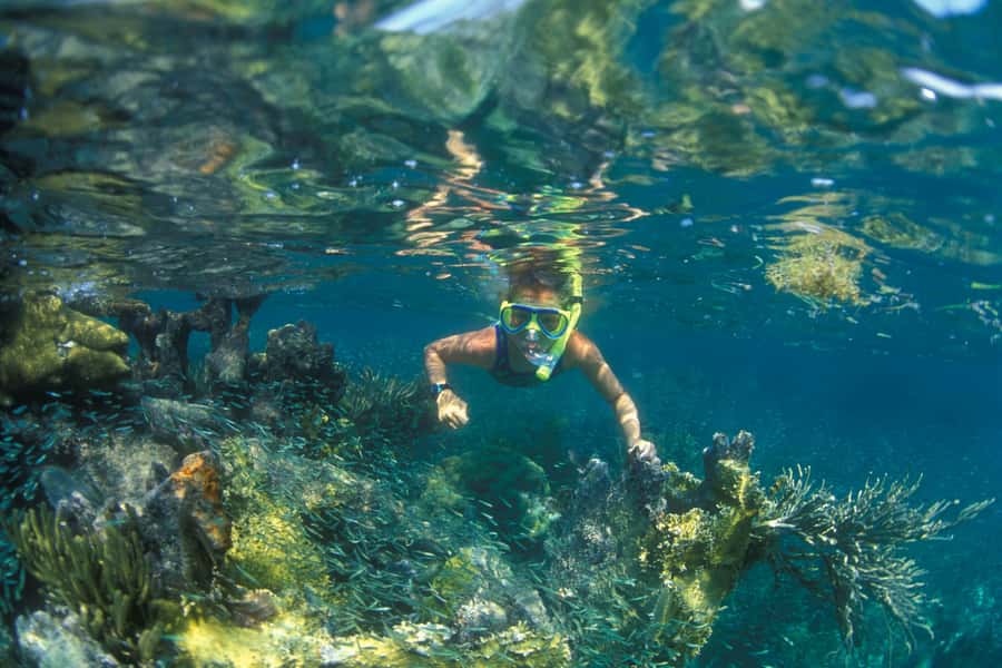 Nha Trang: Snorkeling Tour with BBQ Lunch at Coral Reef - Stop 1 on the reef: what you’re likely to see and how to snorkel smart