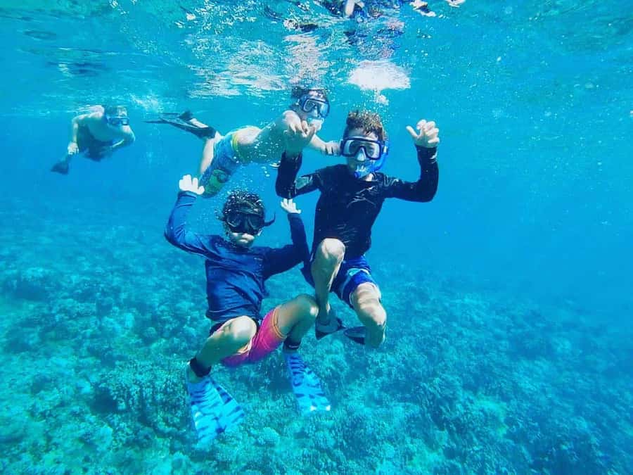 Nha Trang: Snorkeling Tour with BBQ Lunch at Coral Reef - Getting from downtown to the water without stress