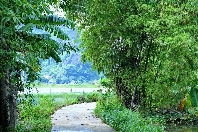 Ninh Binh 2 days 1 night Tour from Hanoi (Small Group of 9) - Day 2 in Hoa Lu and the Dinh and Le Temples: An Ancient-Capital Morning