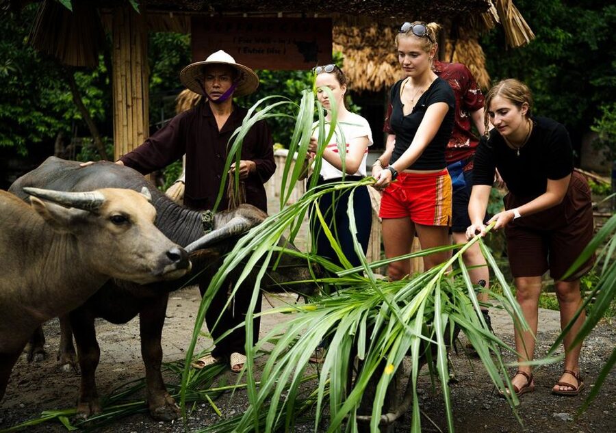 Ninh Binh cooking class at Buffalo Cave - Lunch you make: eating with pride, not politeness