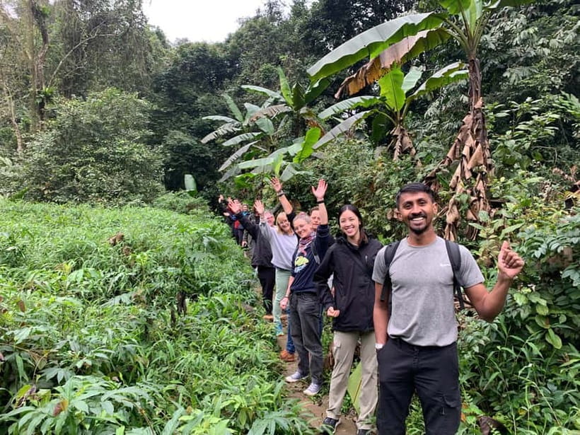 Ninh Binh: Cuc Phuong Jungle Hike & Wildlife Day Trip - Wildlife Expectations: Monkeys, Tracks, and Seasonal Reality