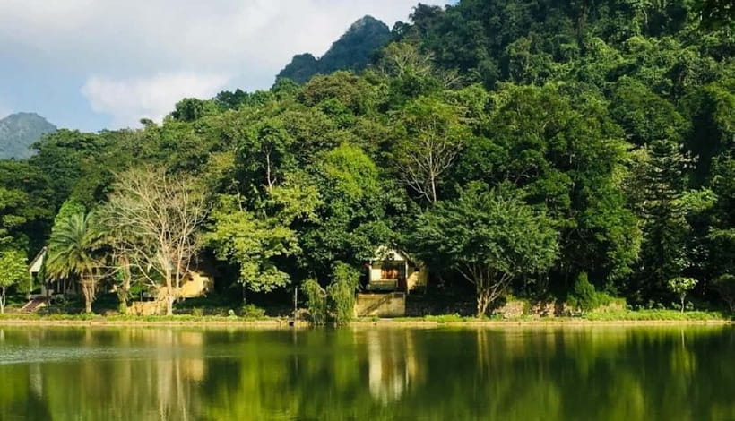 Ninh Binh : Cuc Phuong National Park One Day Group Tour - Key highlights you will actually notice