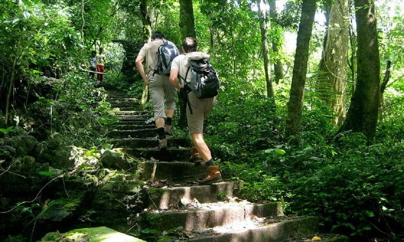 Ninh Binh : Cuc Phuong National Park One Day Group Tour - The Cave of Prehistoric Man: a cool break from the jungle heat
