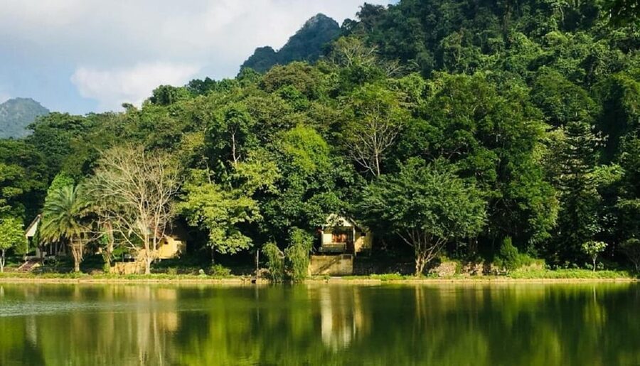 Ninh Binh : Cuc Phuong National Park One Day Group Tour - Two treks to ancient trees: choose your effort level