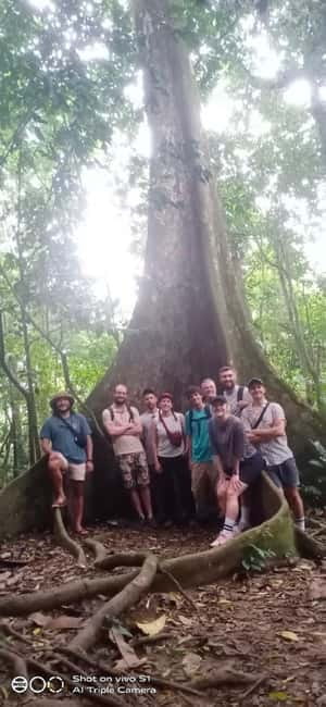 Ninh Binh : Cuc Phuong National Park One Day Group Tour - Returning to Tam Coc around 16:30: plan an easy evening