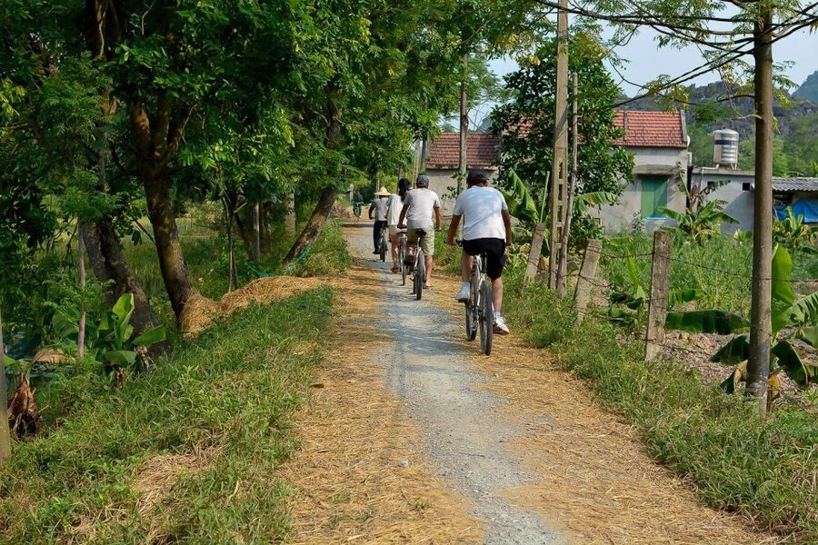 Ninh Binh Daily: Hoa Lu, Mua Cave, Tam Coc, Bike & Swimming - Who should book Ninh Binh Daily, and who should skip it