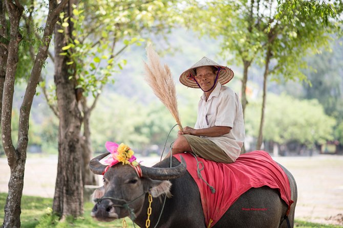 Ninh Binh Daily Tour: Hoa Lu - Tam Coc boat trip and Bike - Rain, Comfort, and Pacing Considerations