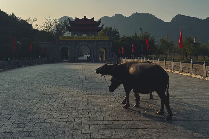 Ninh Binh Day Escape from Hanoi: Local Life, Connection & Tales - Key things that make this Ninh Binh day trip work