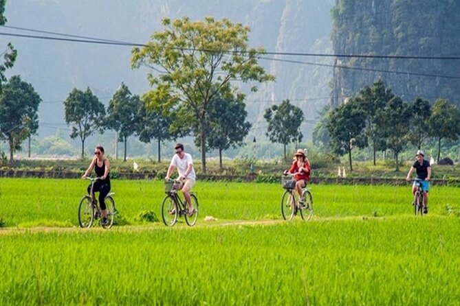 Ninh Binh Day Tour to Hoa Lu Trang An Mua Cave with Buffet Lunch - How the Timing Works Without Feeling Like a Bus Tour