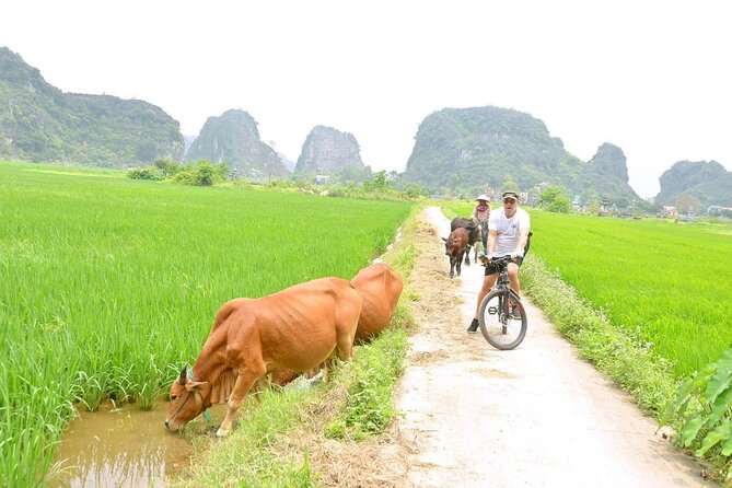 Ninh Binh Full-Day Small Group of 9 Guided Tour from Hanoi - Why the guide quality matters here (Bruce Lee, QA, Felix, Hoa)