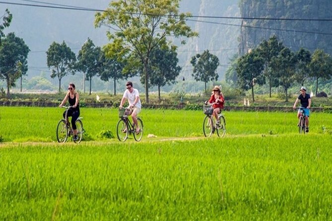 Ninh Binh Full Day Tour to Hoa Lu Tam Coc Mua Cave Buffet Lunch - Buffet Lunch in Ninh Binh: Included and Actually Practical