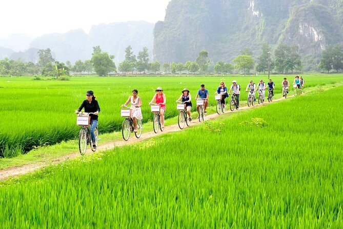Ninh Binh Full Day Tour with Hoa Lu, Tam Coc and Mua Cave - Mua Cave: 500 steps, strong views, and the right mindset