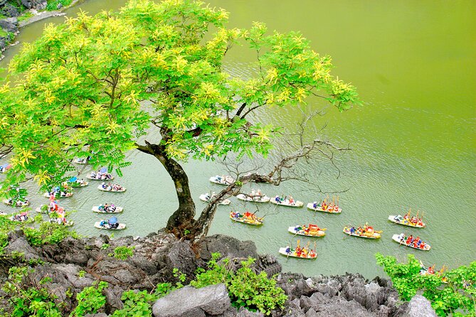 Ninh Binh Full Day Tour with Hoa Lu, Trang An and Mua Cave - Value for $41: What’s included, what to watch, and who wins