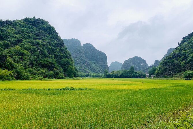 Ninh Binh Full Day Trip From Hanoi To Hoa Lu, Trang An, Mua Cave - Pickup by Limousine Bus: Start Time and Comfort Details