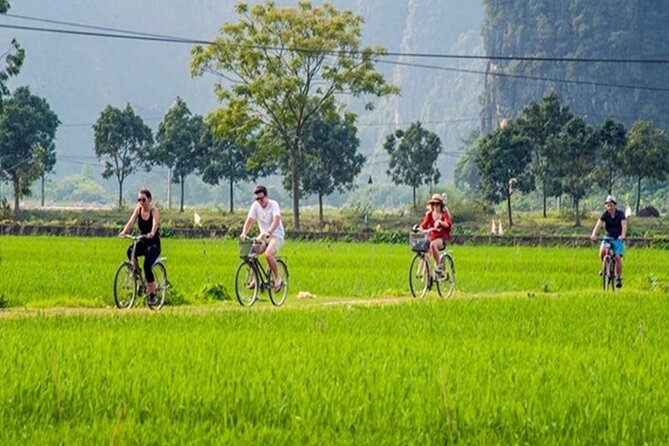 Ninh Binh Full-Day Trip to Trang An Mua Cave Hoa Lu Buffet Lunch - The active part: biking, hiking, boating, and how to pace yourself