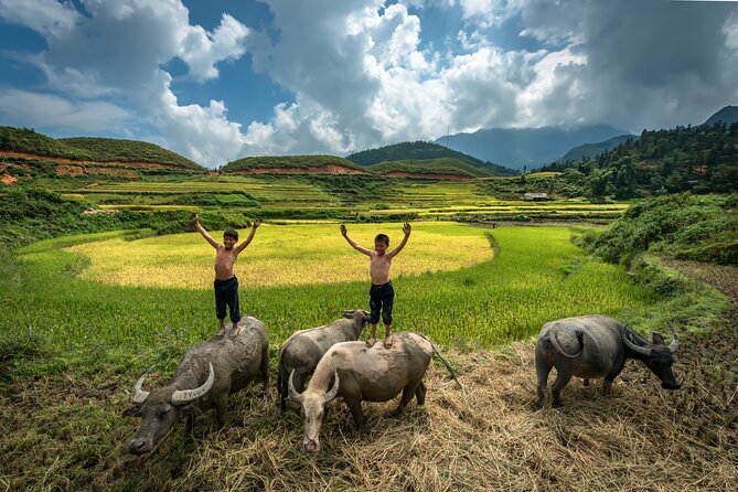 Ninh Binh Group Tour of 11 from Hanoi via Mua Cave Tam Coc Hoa Lu - Lunch stop: local Vietnamese food, no scramble required