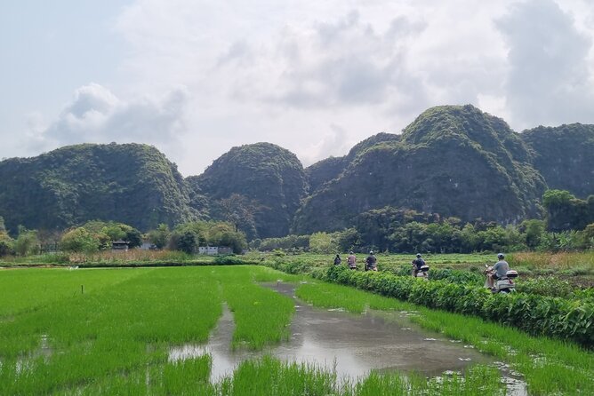 Ninh Binh HIGHTLIGHT & HIDDEN GEM Tour From Hanoi: Skip-The-Line - Scooter Riding Through Countryside: Fun Bonus With Real Logistics