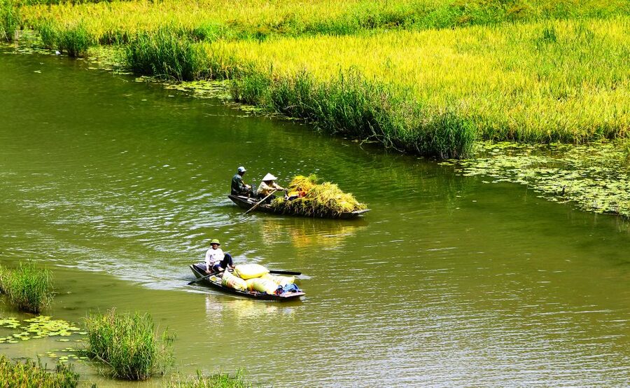 Ninh Binh: Hoa Lu, Trang An and Mua Caves Hiking Day Trip - Hoa Lu Ancient Capital: Temples, Imperial Details, and What to Focus On