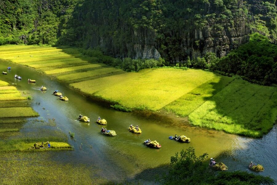 Ninh Binh: Hoa Lu, Trang An and Mua Caves Hiking Day Trip - Price and Value: What You Actually Get for About $43