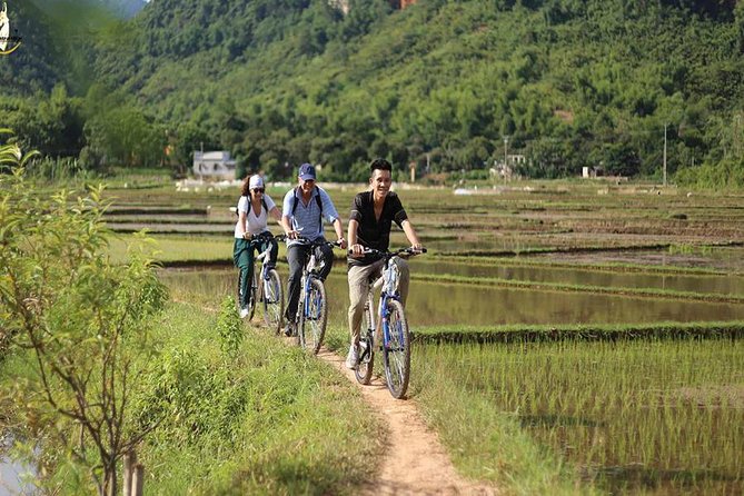 NINH BINH MEMORABLE DAY: Hoa Lu, Mua Cave, boat trip Tam Coc, Trang An optional - Mua Cave and the 500 steps: the workout that earns its views