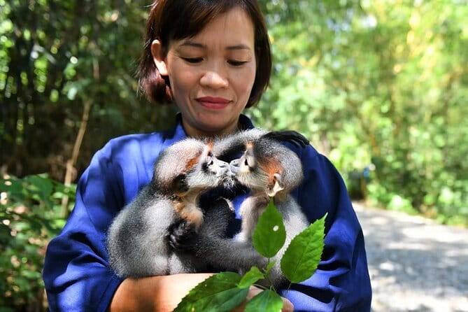Ninh Binh One Day Cuc Phuong National Park Small Group Tour - Key things to know before you go