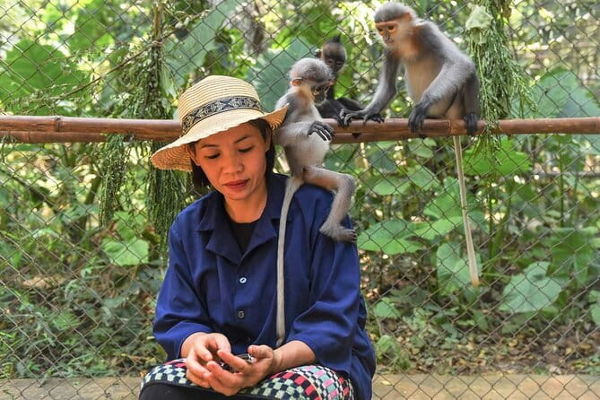 Ninh Binh One Day Cuc Phuong National Park Small Group Tour - Endangered Primate Rescue Center and the Botanical Garden