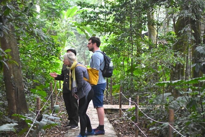 Ninh Binh One Day Cuc Phuong National Park Small Group Tour - Cave of Prehistoric Man: history you can actually walk to