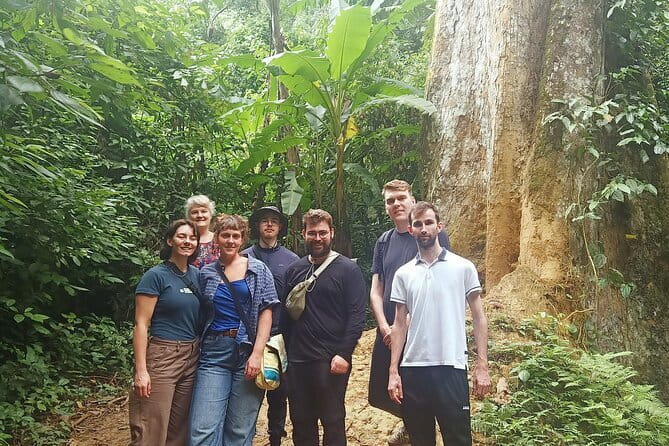 Ninh Binh One Day Cuc Phuong National Park Small Group Tour - Pickup, pacing, and small-group comfort on the minivan