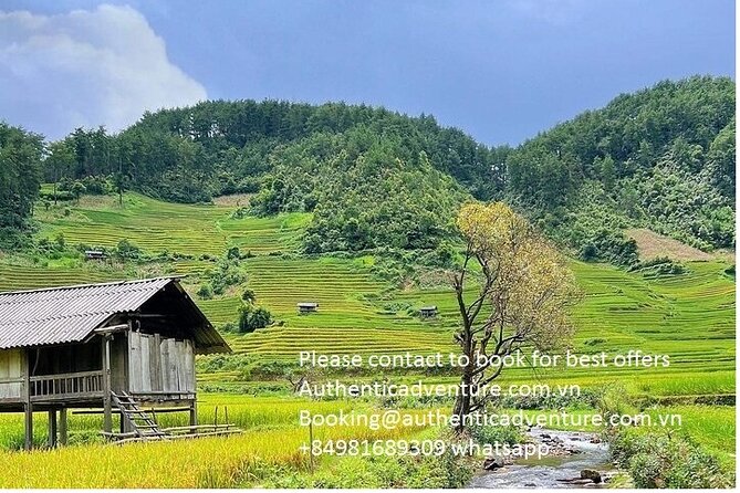 Ninh Binh - Pu Luong | Best Optional Choices | 3 - 4 days Tours - Rice terraces, bamboo rafting, and the giant waterwheels