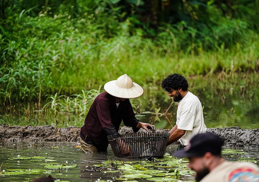 Ninh Binh: Rice planting and fishing by basket tour - Rice planting and nom fishing near Buffalo Cave