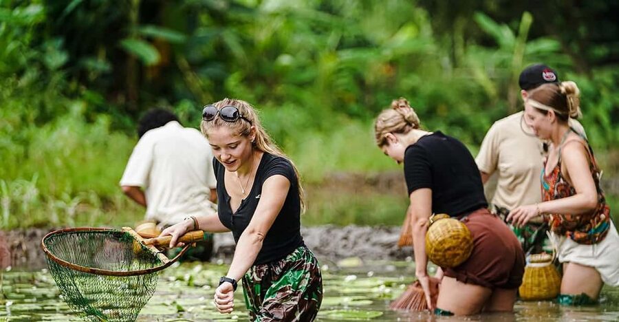 Ninh Binh: Rice planting and fishing by basket tour - Where the tour starts: Buffalo Cave near Tam Coc and Bich Dong Pagoda