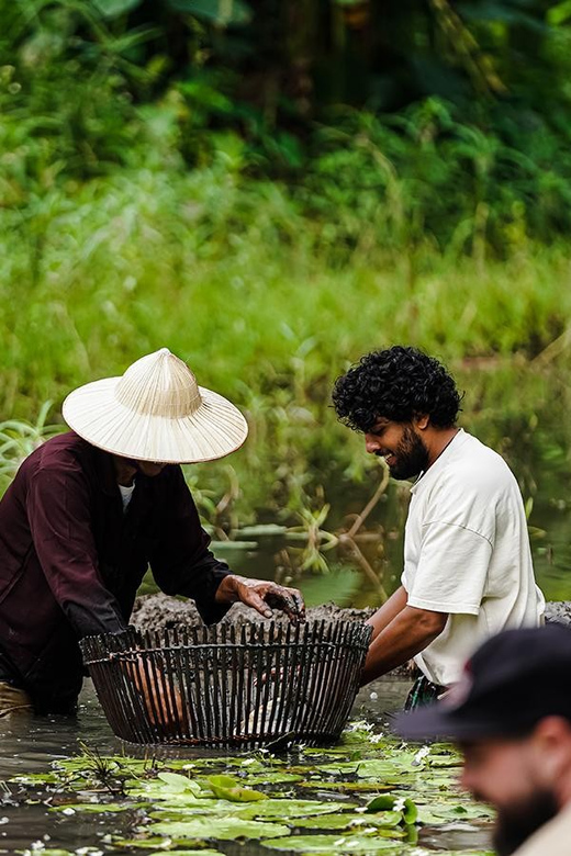 Ninh Binh: Rice planting and fishing by basket tour - What the guide does for the experience (especially for English speakers)