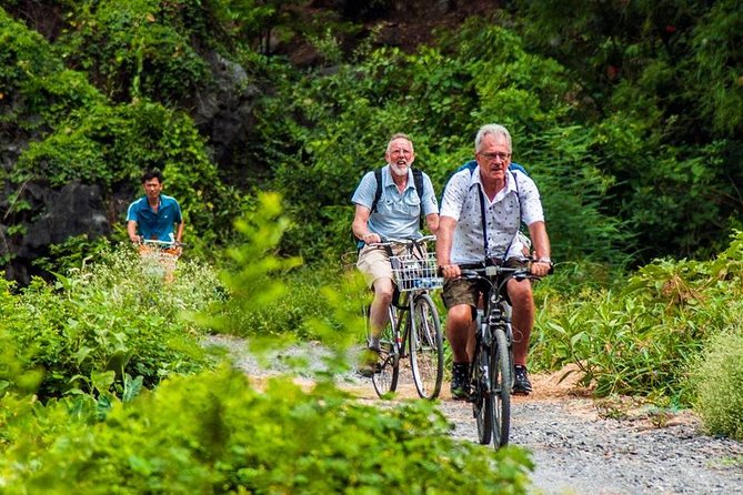 Ninh Binh Tour Hoa Lu Tam Coc Full Day: Biking,Boating,Tickets,Lunch, Limousine - What you actually get for $41: value breakdown you can feel