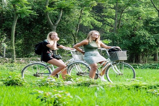 Ninh Binh Tour Hoa Lu Tam Coc Full Day: Biking,Boating,Tickets,Lunch, Limousine - FAQ