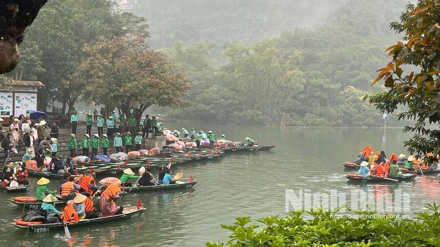 Ninh Binh: Trang An Boat Ride, Hoa Lu & Mua Cave Sunset - What to bring, what’s not allowed, and when plans change