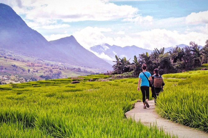 Number one top rated ethical cultural trekking and homestay by ETHOS - Day 2 flexibility: choose distance and difficulty, then taxi back