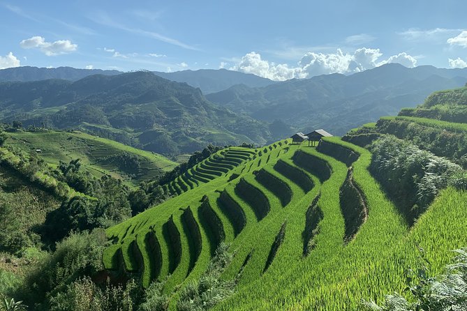 Number one top rated ethical cultural trekking and homestay by ETHOS - Price and value at about $93.34 per person