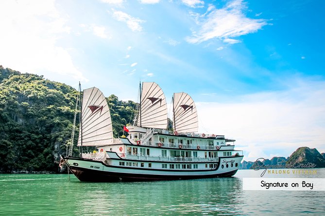 (Official) Signature Halong Cruise - 03 days 02 nights program - Day 3 Tai Chi, light breakfast, and Thien Canh Son cave