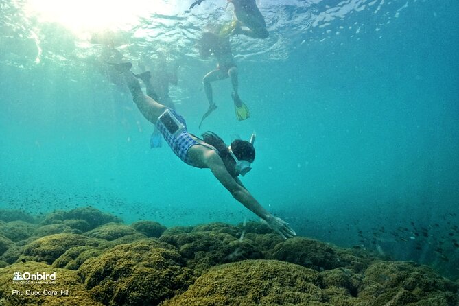 OnBird - PRIVATE ADVENTURE SNORKELING - explore Half-moon reef & Coral Mountain - Private snorkeling from An Thoi, timed to avoid the rush