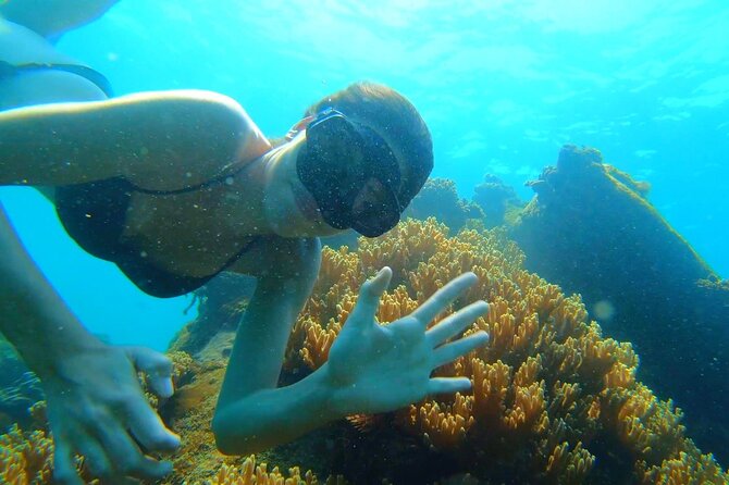 OnBird - PRIVATE ADVENTURE SNORKELING - explore Half-moon reef & Coral Mountain - Coral Mountain snorkeling, plus the sunset beach bar payoff