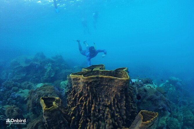 OnBird - PRIVATE ADVENTURE SNORKELING - explore Half-moon reef & Coral Mountain - Who this private reef trip suits best