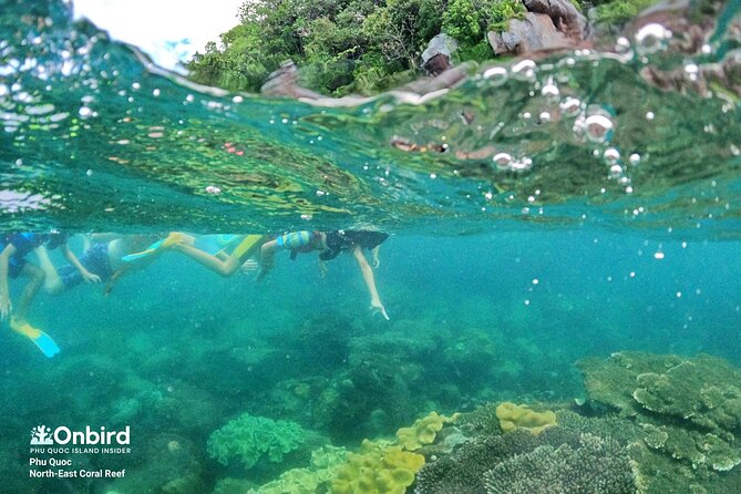 OnBird - Private family KID-FRIENDLY Snorkeling trip by speedboat in Phu Quoc - Boat day comfort and the crowd-avoidance strategy