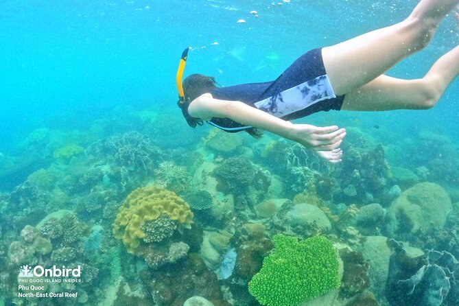 OnBird - Private family KID-FRIENDLY Snorkeling trip by speedboat in Phu Quoc - Price and value, what you get for $152.08