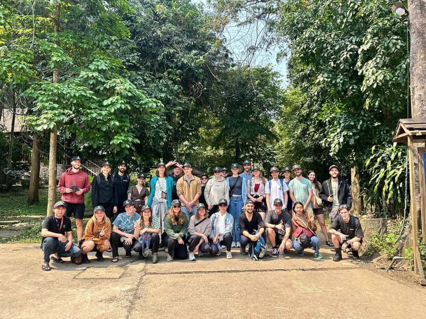 Phong Nha National Park: Paradise Cave Half-Day Tour - Key highlights you’ll actually feel on this tour