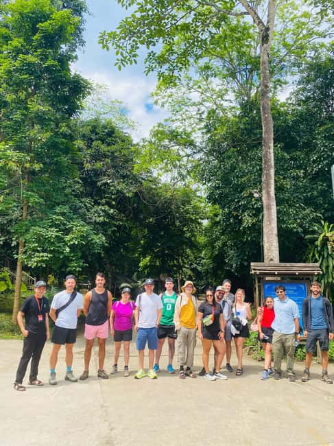 Phong Nha National Park: Paradise Cave Half-Day Tour - Walking the Underground Palace: what you see and why the route feels good