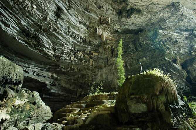 Phong Nha & Paradise Cave - 1 Day All Inclusive - Key things I’d bet you’ll care about