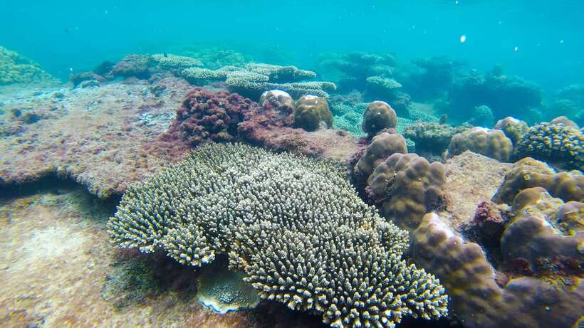 Phu Quoc: 3 Island Tour by Boat with Guide - May Rut Trong Island: White-Sand Lagoon Time and What to Do There